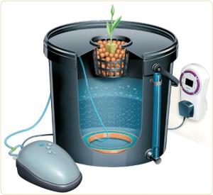 Aero Pod Hydroponics Deep Water Culture System