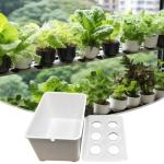 Complete Indoor Hydroponic Gardening Kit