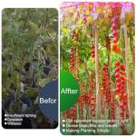 Waterproof Full Spectrum LED Grow Light Strip