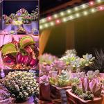Dimmable Full Spectrum LED Grow Lights for Plants