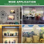 Full Spectrum LED Grow Lights for Indoor Plants