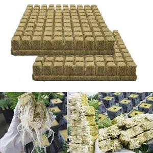 Rockwool Grow Cubes for Hydroponic Planting
