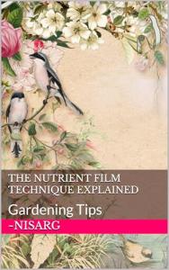 Nutrient Film Technique: Essential Hydroponic Guide