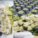 ANAJOY Rockwool Grow Cubes for Hydroponics