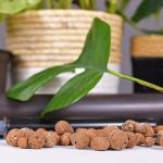 Lightweight Clay Pebbles for Hydroponics and Plants