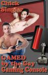 Gay Gaming Console: Fun for Everyone