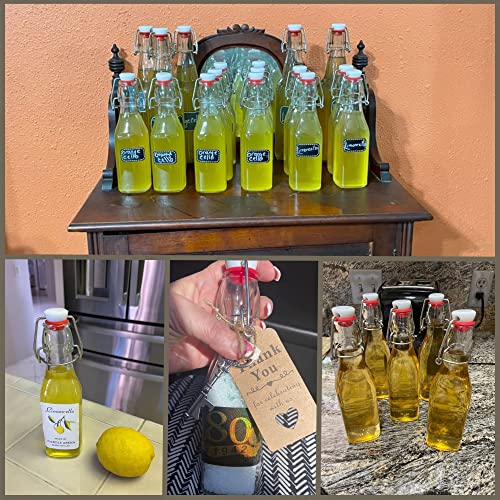 Swing Top Glass Bottles for Brewing & Storage