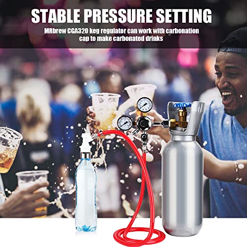 MRbrew CO2 Keg Regulator with Pressure Control