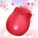 Women’s Rabbit Vibrator Set for Ultimate Pleasure