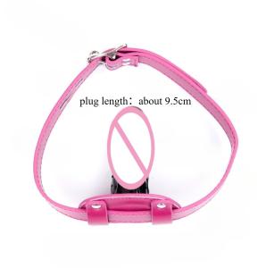 Lockable Open Mouth Gag with Head Harness