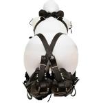 BDSM Arm and Leg Restraint Bondage Harness