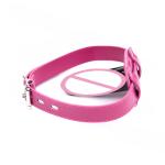 Lockable Open Mouth Gag with Head Harness