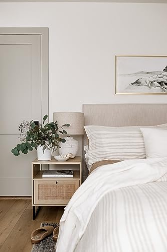 Mina Accent Table with Rattan Storage Door