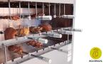 Professional Brazilian Gas Grill with 26 Skewers