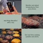 Ninja FlexFlame ProConnect 5-in-1 Grill & Smoker