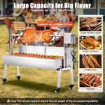 Electric Rotisserie Grill Kit for Outdoor Cooking