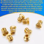 Natural Gas Conversion Kit for BBQ Grills