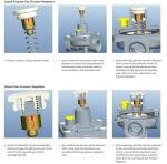 MENSI 3030 CNG to LP Conversion Kit