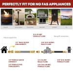 GasXpert 12ft Natural Gas Conversion Kit for Grills