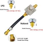 MENSI 3030 CNG to LP Conversion Kit