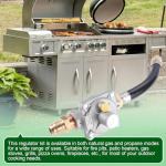 Natural Gas/Propane Grill Conversion Kit with Regulator