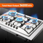 Feasto Portable Stainless Steel Gas Grill with 5 Burners