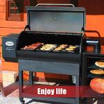 FlameEngine Digital Control Board for Louisiana Grills