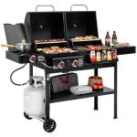 ZH3005 Dual Fuel 2-Burner Combo Grill