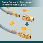 Natural Gas Conversion Kit for Monument Grills