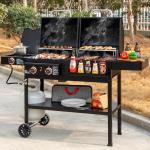 ZH3005 Dual Fuel 2-Burner Combo Grill