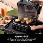 Ninja Woodfire Outdoor Grill & Smoker, 6-in-1 Functionality, Grill, Smoke, Bake, Roast, Air Fry, Broil, Authentic Woodfire Flavors, Electric Heat, OG321