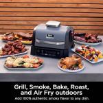 Ninja Woodfire Outdoor Grill & Smoker, 6-in-1 Functionality, Grill, Smoke, Bake, Roast, Air Fry, Broil, Authentic Woodfire Flavors, Electric Heat, OG321