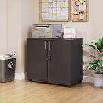 Panana Black Wooden 2-Door Filing Cabinet