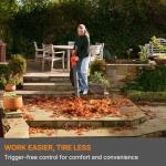 Flymo 18V EasiBlowVac Cordless Leaf Blower Vacuum