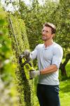 Ryobi 18V ONE+ Cordless 45cm Hedge Trimmer
