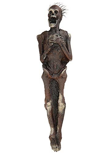 Skeleton in Coffin Halloween Prop by Distortions