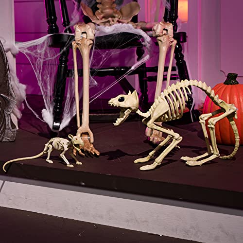 Skeleton Cat and Rat Halloween Yard Decor