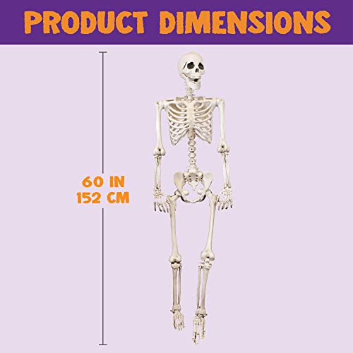 5 ft Life Size Poseable Skeleton Halloween Decoration