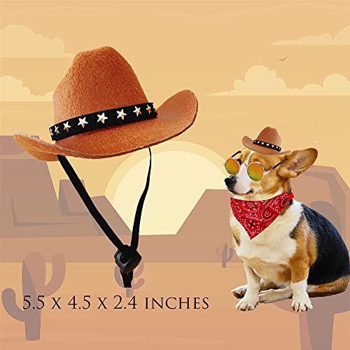 Cowboy and Hippie Pet Costume Set