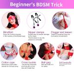 10-Piece Multicolor BDSM Bondage Restraint Kit