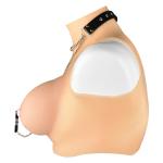 Nipple Clamps with Collar & Chain Whip Set