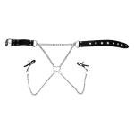 Nipple Clamps with Collar & Chain Whip Set