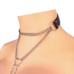 Nipple Clamps with Collar & Chain Whip Set