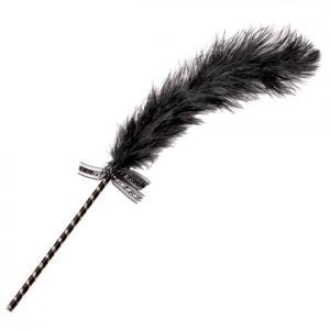 Ostrich Feather Tickler for BDSM Roleplay Fun