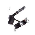 Detachable Plug Mouth Gag Harness for Bondage