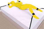 Queen and King Size Bed Restraint Kit