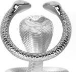Stainless Steel Penis Ring with Locking Chastity