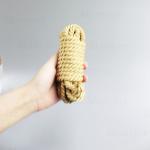 BDSM Slave Plug Bar with Collar for Bondage