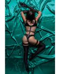 Kinky Kitty Cat Role Play 6-Piece Set