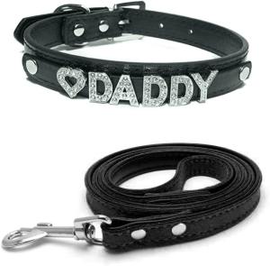 Love Daddy Leather Choker Collar with Leash